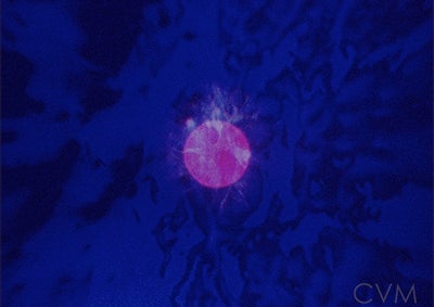Quartet (1983)