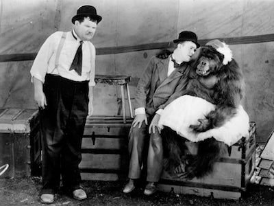 The Chimp
