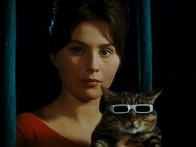 A woman holding a cat that's wearing sunglasses.