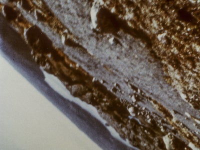 An upside-down image of a barren landscape. 