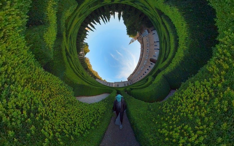 A distorted image of a person walking through a garden.