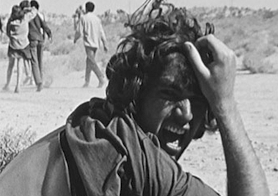 A person screaming and grabbing their hair on the side of a road.