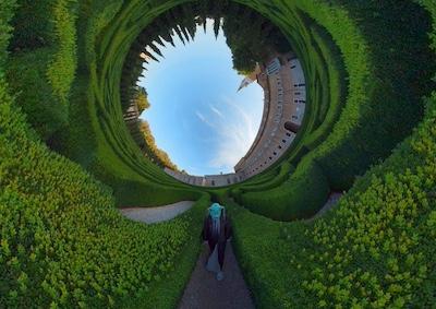 A distorted image of a person walking through a garden.