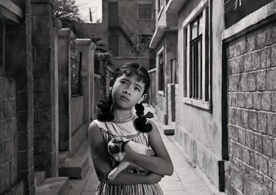 A young girl holding a cat in an alley.