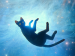 An animated cat floating in the night sky.