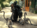 A person behind a camera approached by ring-tailed lemurs.