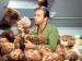 Star Trek: “The Trouble with Tribbles”